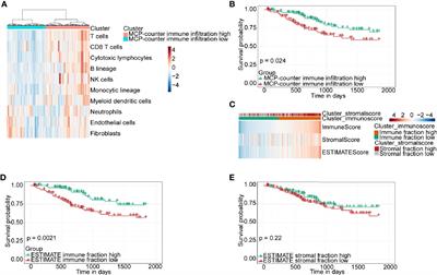 Metabolic Molecule PLA2G2D Is a Potential Prognostic Biomarker Correlating With Immune Cell Infiltration and the Expression of Immune Checkpoint Genes in Cervical Squamous Cell Carcinoma